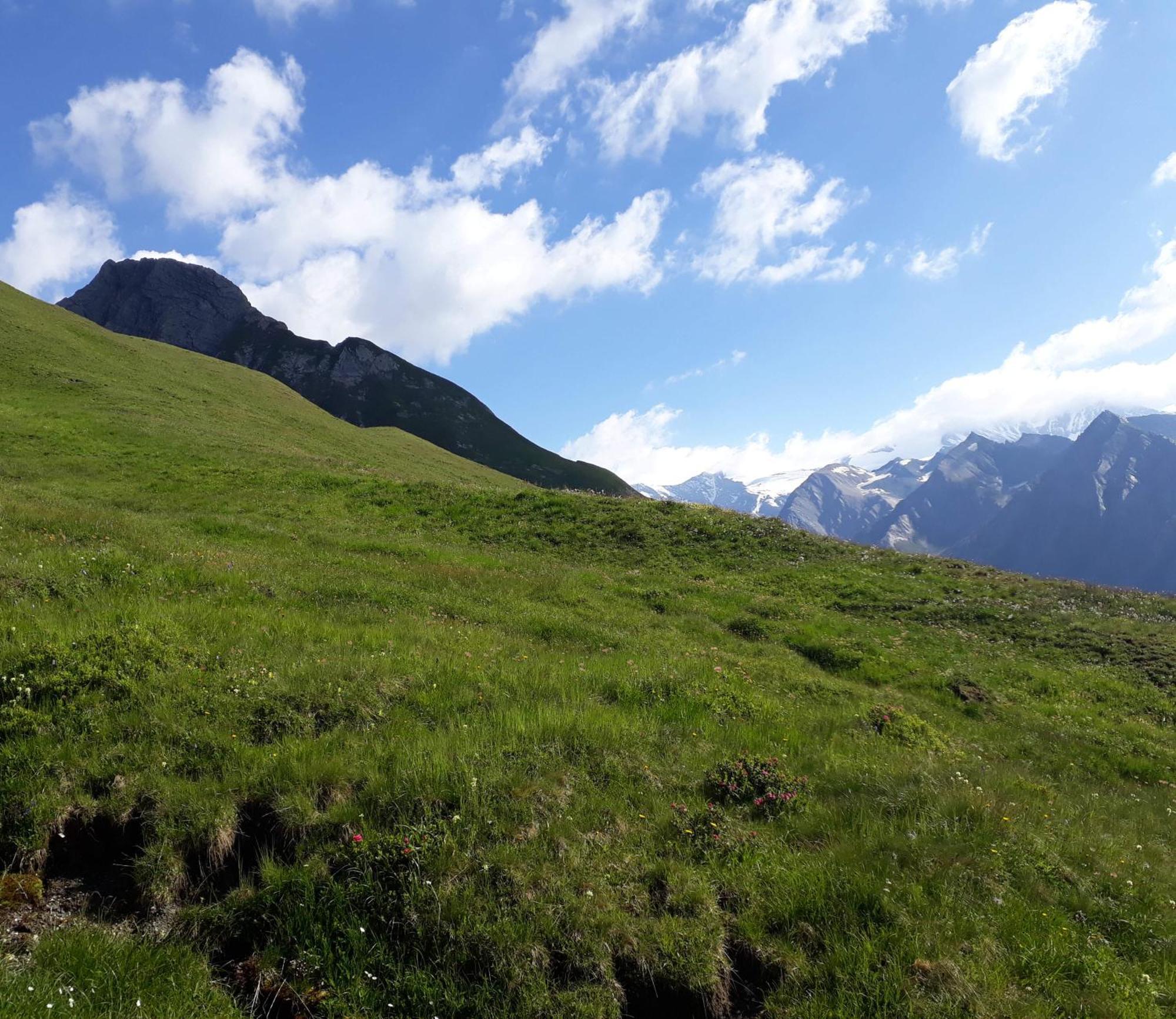 Appartement Sonnenhof à Kals-am Großglockner Extérieur photo
